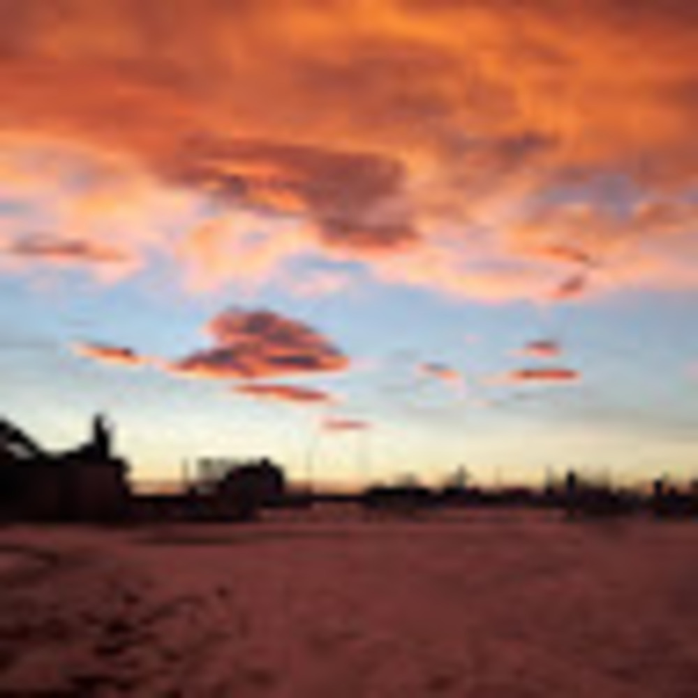 Meet your Posher, Daisy